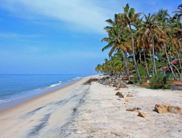 Marari La Rose Beach Homestay Mararikulam Eksteriør billede