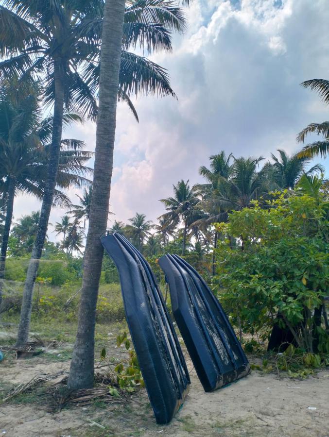 Marari La Rose Beach Homestay Mararikulam Eksteriør billede