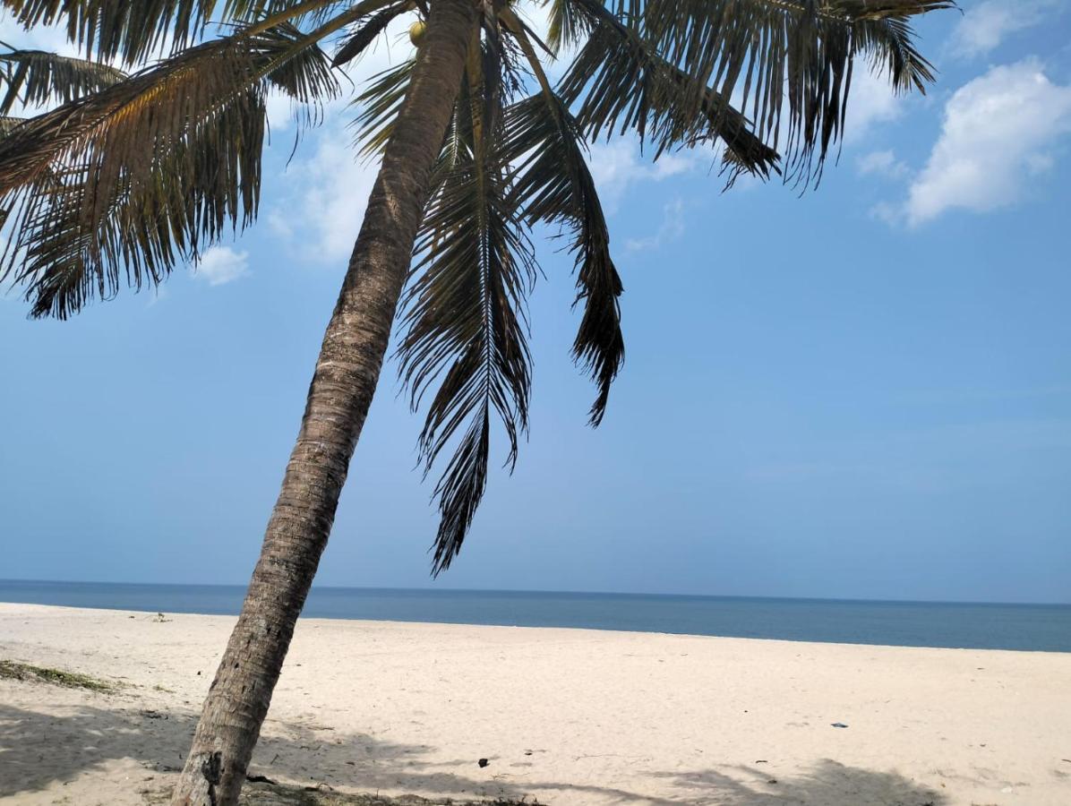 Marari La Rose Beach Homestay Mararikulam Eksteriør billede