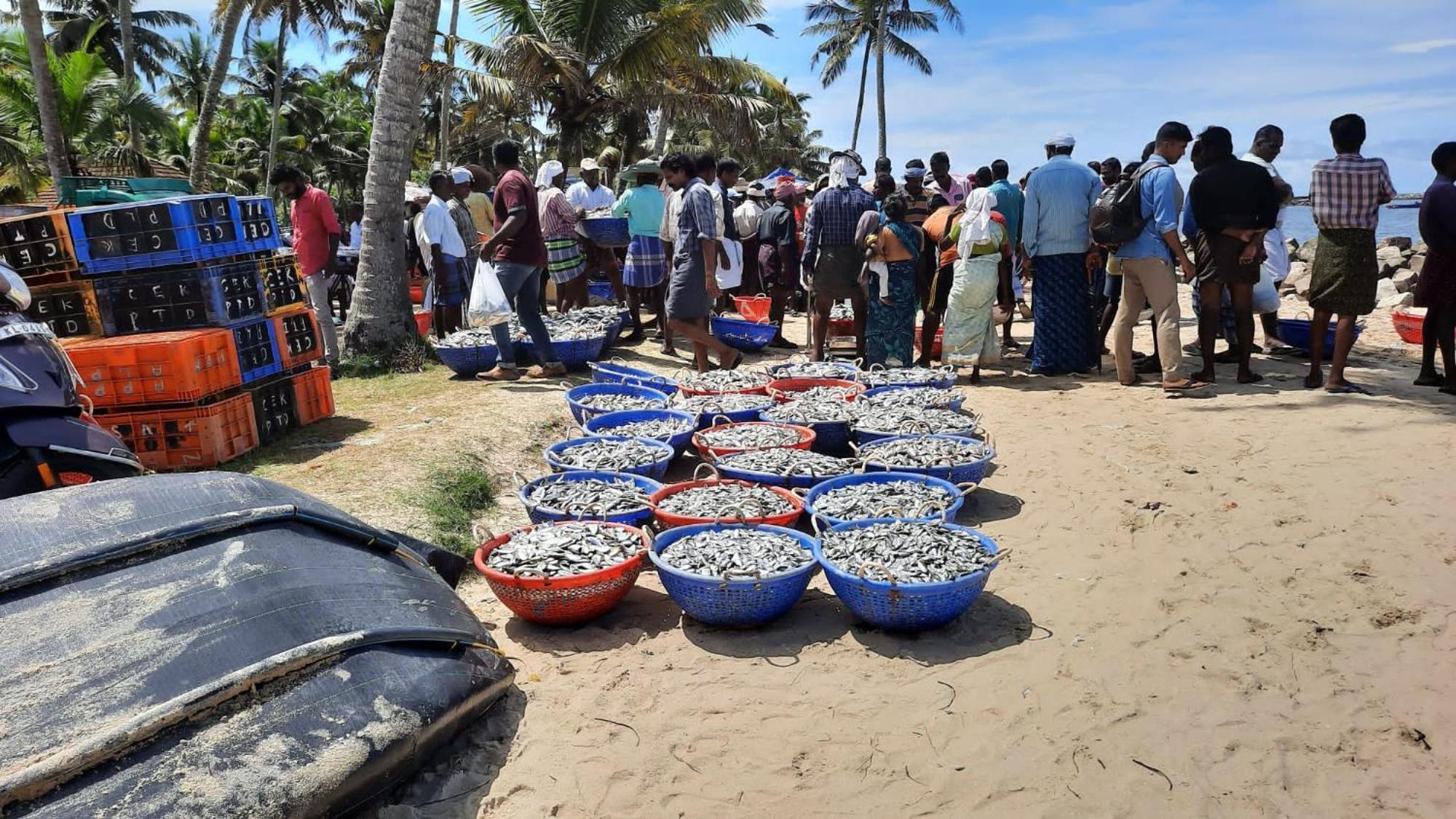 Marari La Rose Beach Homestay Mararikulam Eksteriør billede